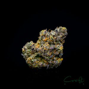 Cookies and Gelato