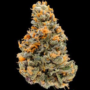 Orange Zootz Cannabis